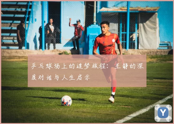乒乓球场上的追梦旅程：王静的深度对话与人生启示